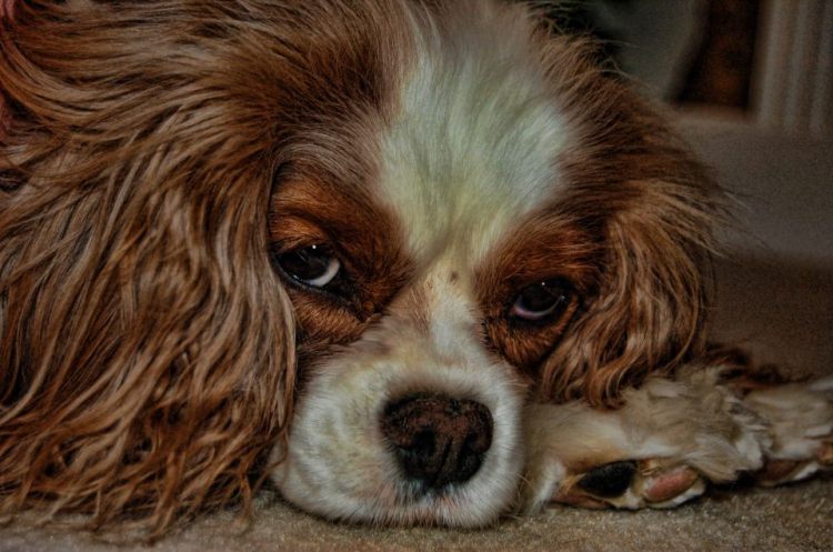 norma_rowley_oct__ccac