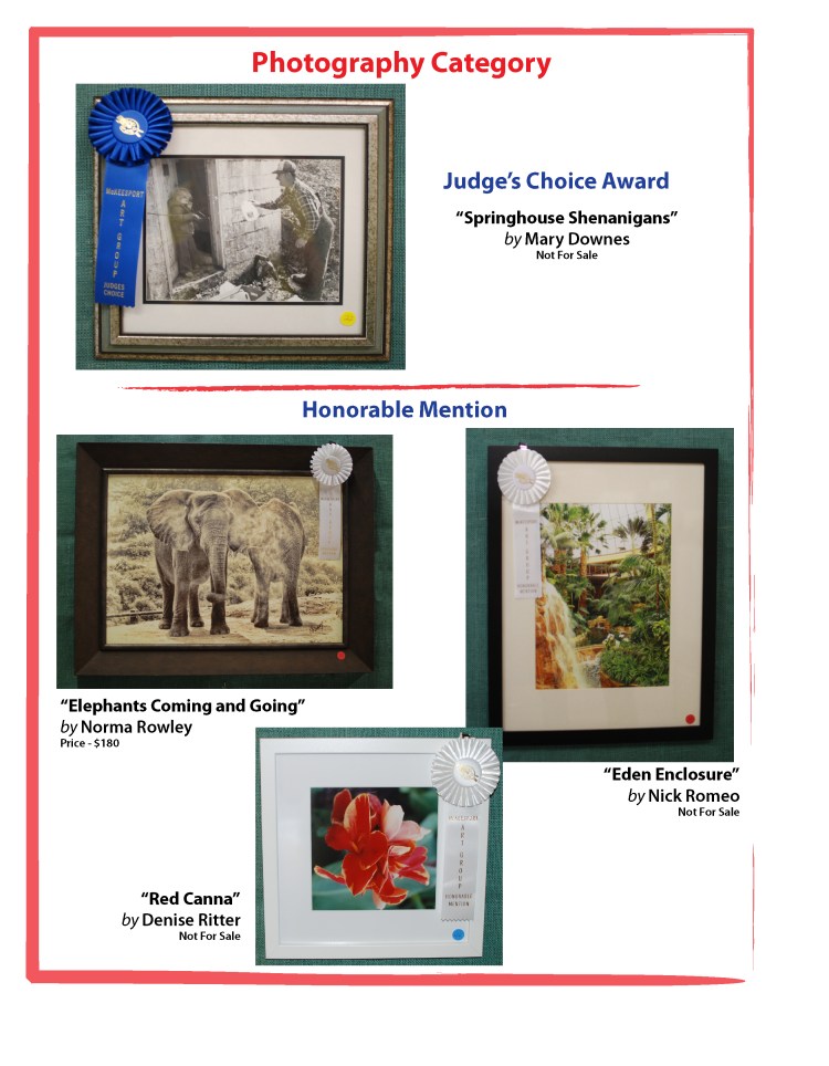 MAG Art Show winners-05